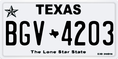 TX license plate BGV4203