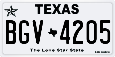 TX license plate BGV4205