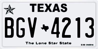 TX license plate BGV4213