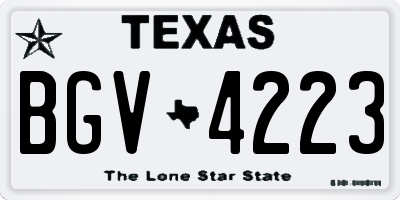 TX license plate BGV4223