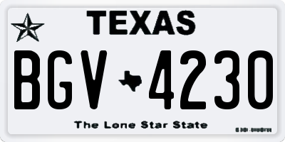TX license plate BGV4230