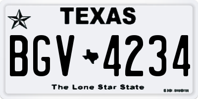 TX license plate BGV4234