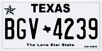 TX license plate BGV4239