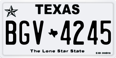 TX license plate BGV4245