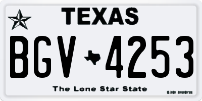 TX license plate BGV4253