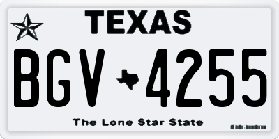 TX license plate BGV4255