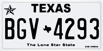 TX license plate BGV4293