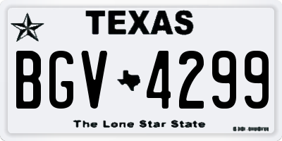 TX license plate BGV4299