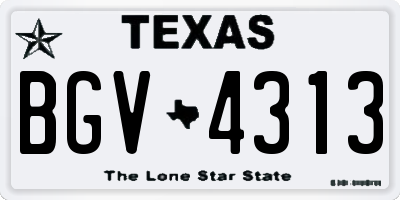 TX license plate BGV4313