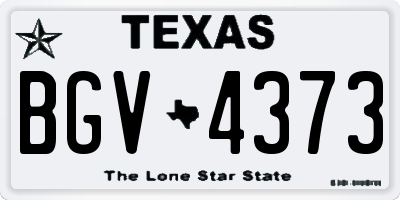 TX license plate BGV4373