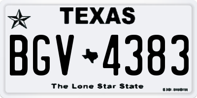 TX license plate BGV4383