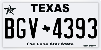 TX license plate BGV4393
