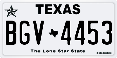 TX license plate BGV4453