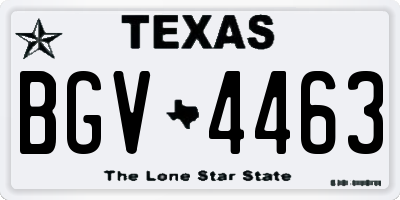 TX license plate BGV4463