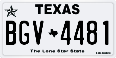 TX license plate BGV4481