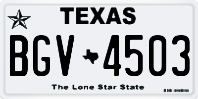 TX license plate BGV4503