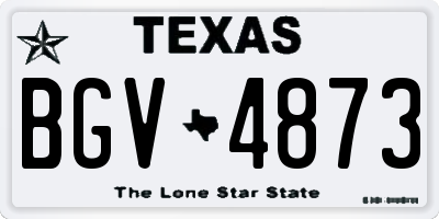 TX license plate BGV4873