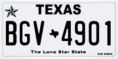 TX license plate BGV4901