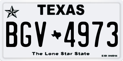 TX license plate BGV4973