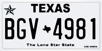 TX license plate BGV4981