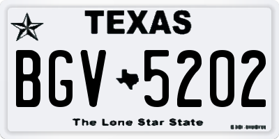TX license plate BGV5202