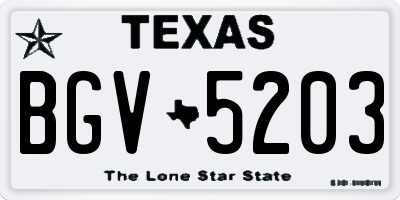 TX license plate BGV5203