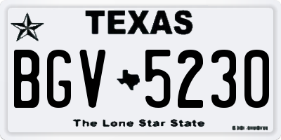 TX license plate BGV5230