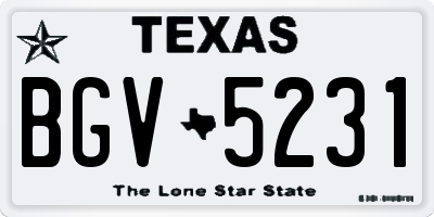 TX license plate BGV5231