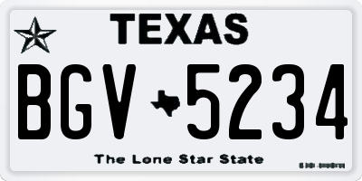 TX license plate BGV5234