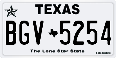 TX license plate BGV5254