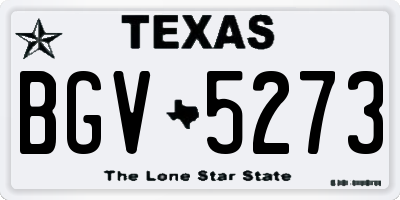 TX license plate BGV5273