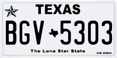 TX license plate BGV5303