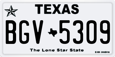 TX license plate BGV5309