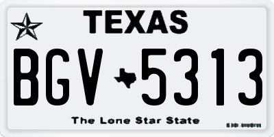 TX license plate BGV5313
