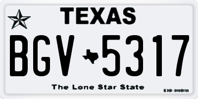 TX license plate BGV5317