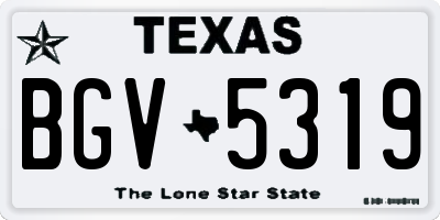 TX license plate BGV5319