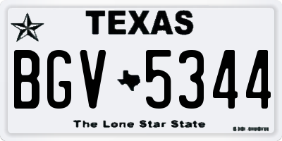 TX license plate BGV5344