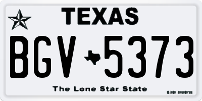 TX license plate BGV5373