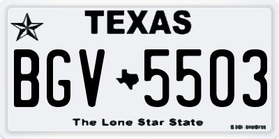 TX license plate BGV5503