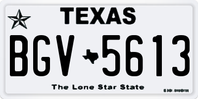 TX license plate BGV5613
