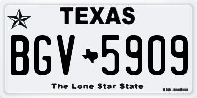 TX license plate BGV5909
