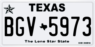 TX license plate BGV5973