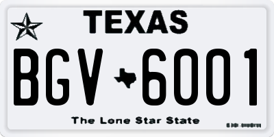 TX license plate BGV6001