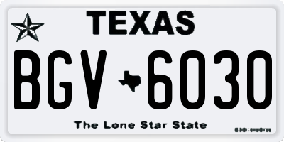 TX license plate BGV6030