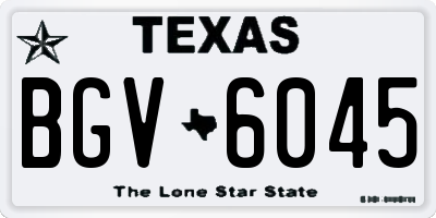 TX license plate BGV6045