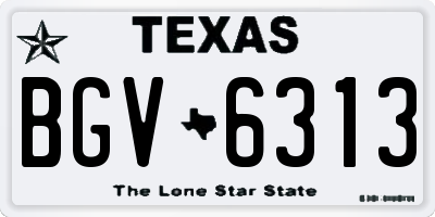 TX license plate BGV6313