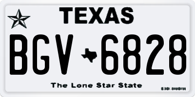 TX license plate BGV6828