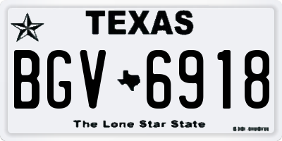 TX license plate BGV6918