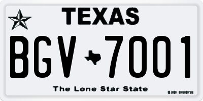 TX license plate BGV7001