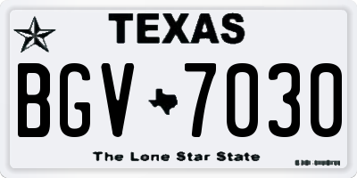 TX license plate BGV7030